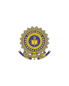 Post instagram criador de conteúdo rosa e preto e verde - 7